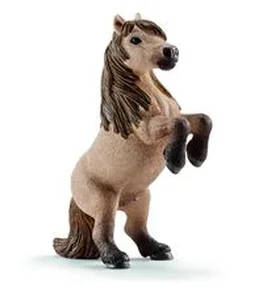 Obrazek Mini Shetty ogier