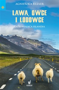 Bild von Lawa, owce i lodowce Zadziwiająca Islandia