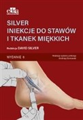 Polnische buch : SILVER. In... - D. Silver