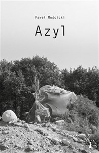 Bild von Azyl