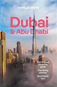 Polska książka : Dubai & Ab...