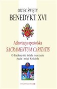 Adhortacja... - XVI Benedykt -  polnische Bücher