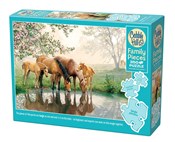 Polska książka : Puzzle 350...