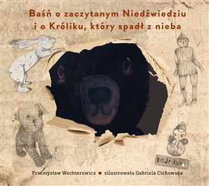 Bild von Baśń o zaczytanym Niedźwiedziu i o Króliku, który spadł z nieba
