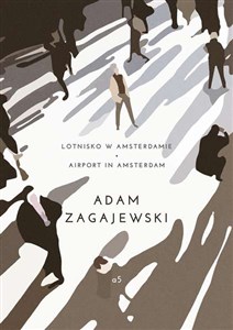 Obrazek Lotnisko w Amsterdamie/Airport in Amsterdam