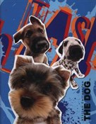 Polnische buch : Segregator...