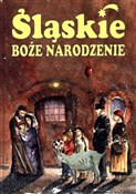Śląskie Bo... - Marek Szołtysek -  polnische Bücher