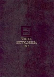 Obrazek Wielka Encyklopedia PWN Tom 10