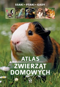 Bild von Atlas zwierząt domowych