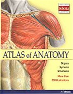 Bild von Atlas of anatomy