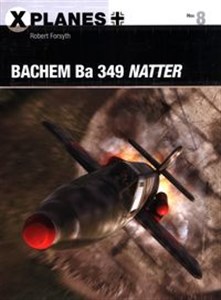 Bild von Bachem Ba 349 Natter