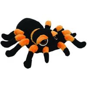 Bild von Tarantula Spindra 27 cm