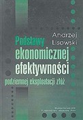 Podstawy e... - Andrzej Lisowski -  Polnische Buchandlung 