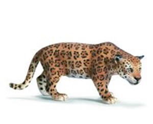 Obrazek Jaguar