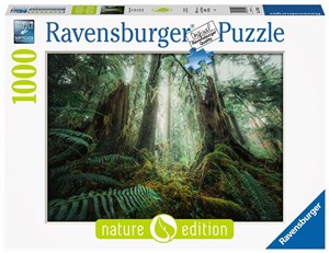 Obrazek Puzzle 1000 Lasy