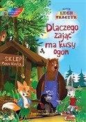 Polska książka : Dlaczego Z... - Lech Tkaczyk
