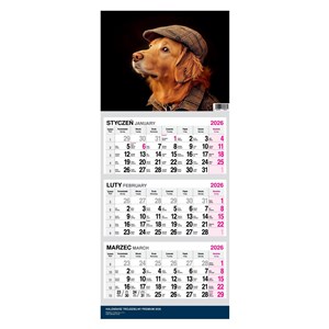 Obrazek Kalendarz 2026 trójdzielny Premium Pies