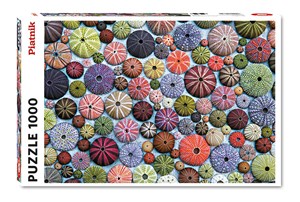 Bild von Puzzle 1000 Jeżowce