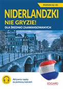 Książka : Niderlandz... - Magdalena Donderowicz