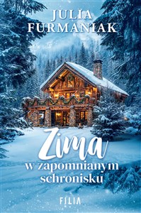 Bild von Zima w zapomnianym schronisku