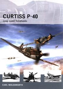 Bild von Curtiss P-40 Long-nosed Tomahawks