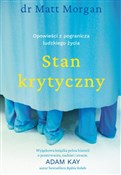 Stan kryty... - Matt Morgan -  polnische Bücher