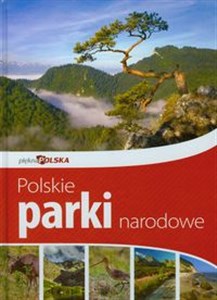 Obrazek Piękna Polska Polskie Parki Narodowe