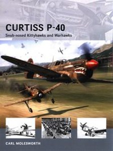 Bild von Curtiss P-40 Snub-nosed Kittyhawks and Warhawks