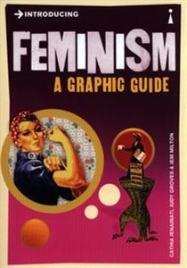 Obrazek Introducing Feminism