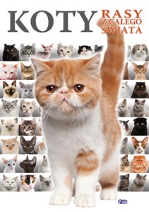 Obrazek Koty Rasy z całego świata