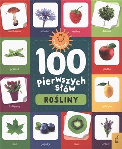 Obrazek Rośliny. 100 pierwszych słów