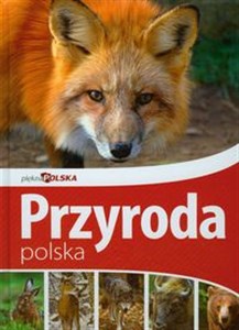 Obrazek Piękna Polska Przyroda polska