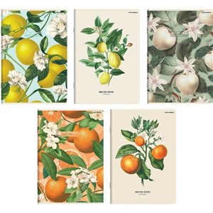 Obrazek Zeszyt A5/60K kratka Summer (10szt) TOP2000