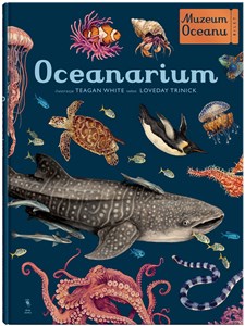 Obrazek Oceanarium Muzeum Oceanu