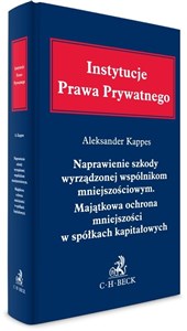 Obrazek Naprawienie szkody wyrządzonej wspólnikom mniejszościowym. Majątkowa ochrona mniejszości w spółkach kapitałowych