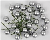 Polnische buch : Owoce ostr...