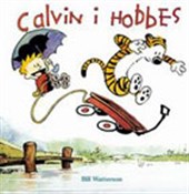 Calvin i H... - Bill Watterson -  fremdsprachige bücher polnisch 