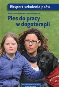 Obrazek Pies do pracy w dogoterapii