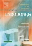 Endodoncja... - Clemens Bargholz, Dirk Hor, Christoph Zirkel -  fremdsprachige bücher polnisch 