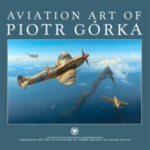 Obrazek Aviation art of Piotr Górka