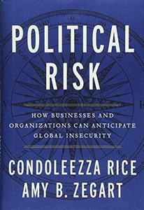 Bild von Political Risk: How Businesses and Organizations Can Anticipate Global Insecurity