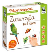Montessori... - Katarzyna Dołhun - buch auf polnisch 