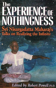 Bild von The Experience of Nothingness