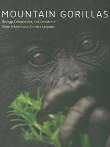 Obrazek Mountain Gorillas