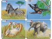 Lew / Słoń... - buch auf polnisch 