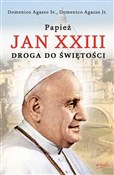 Papież Jan... - Domenico Sr. Agasso, Domenico Jr. Agasso -  polnische Bücher
