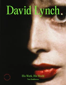 David Lync... - Tom Huddleston -  fremdsprachige bücher polnisch 
