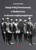 Polnische buch : Dzieje Pol... - Krzysztof Halicki