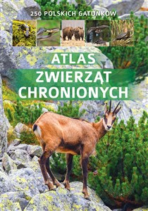 Bild von Atlas zwierząt chronionych 250 polskich gatunków