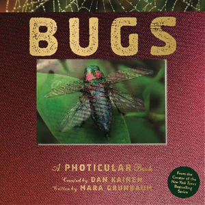 Bild von KAINEN, D: BUGS